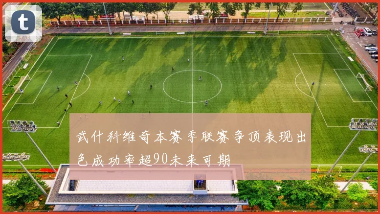 武什科维奇本赛季联赛争顶表现出色成功率超90未来可期
