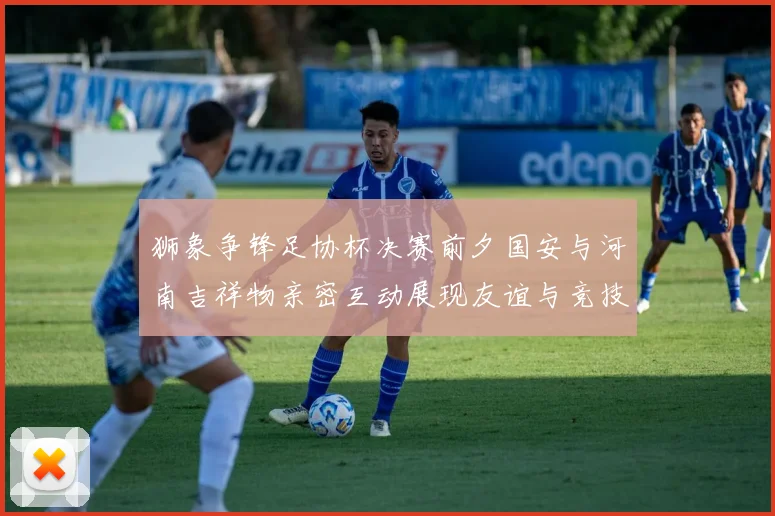 狮象争锋足协杯决赛前夕国安与河南吉祥物亲密互动展现友谊与竞技精神